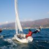 sailing Regatta